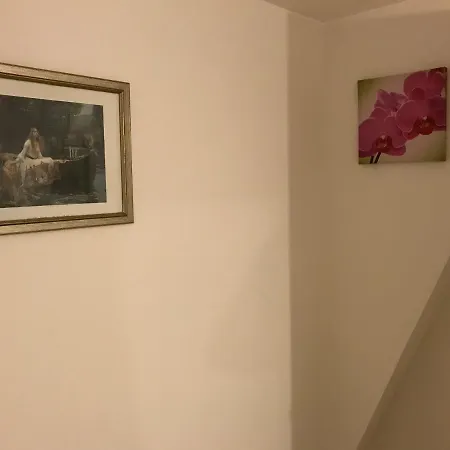 Prázdninový dům Orchid *