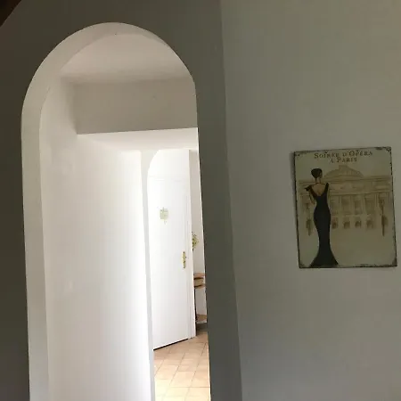 Orchid * Gorges (Normandy)